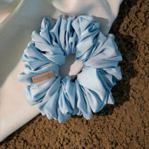 Giant Blue Daisy