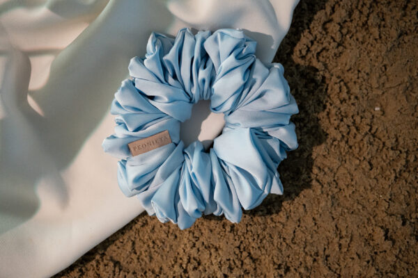 Giant Blue Daisy